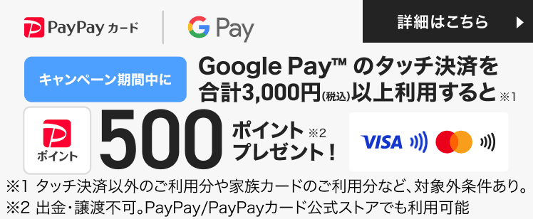 Google Pay のご利用で500ポイントプレゼント!