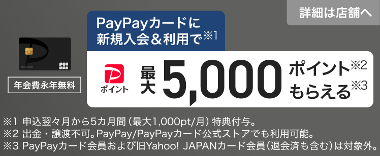PayPayカード新規入会&利用で最大5,000ポイントプレゼント（ご入会のみでの特典付与はありません）