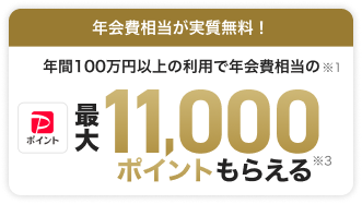 年会費相当が実質無料！ 年間100万円以上の利用で年会費相当のPayPayポイント最大11,000ポイントもらえる