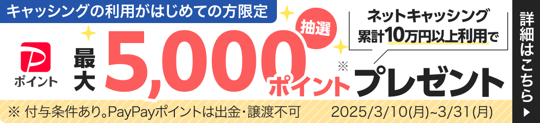キャッシングの利用がはじめての方限定 ネットキャッシング累計10万円以上利用で最大5,000ポイントプレゼントキャンペーン。期間：2025/3/10（月）〜3/31（月）
