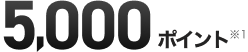 5,000ポイント ※1