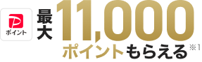 PayPayポイント最大11,000ポイントもらえる ※1