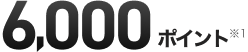 6,000ポイント ※1