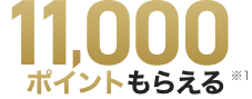 11,000ポイントもらえる ※1