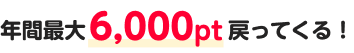 年間最大6,000pt戻ってくる！