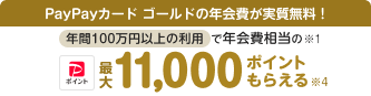PayPayカード ゴールドの年会費が実質無料！ 年間100万円以上の利用で年会費相当のPayPayポイント最大11,000ポイントもらえる