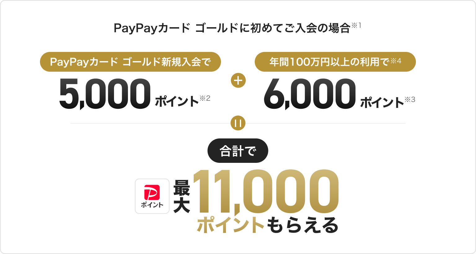 PayPayカード ゴールドに初めて入会の場合。新規入会で5,000ポイント＋年間100万円以上の利用で6,000ポイント。合計で最大11,000ポイントもらえる。
